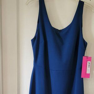 Betsey Johnson sleeveless A-line dress